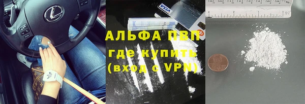 гашик Богданович