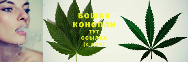мет Белокуриха