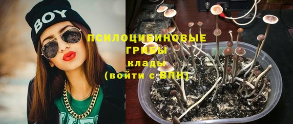гашик Богданович